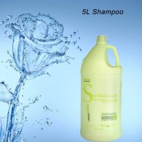 Wholesale argan oil organic shampoo sulfate free plant formula hair shampoo